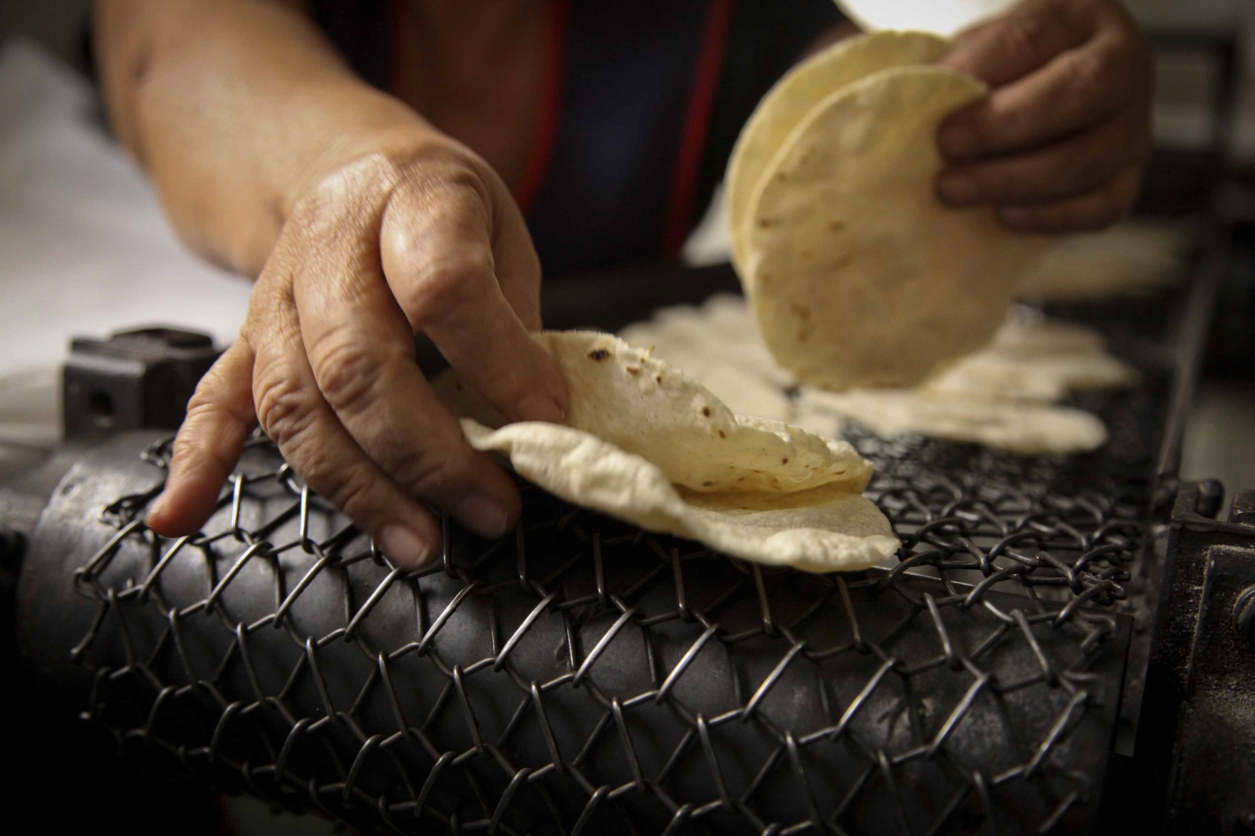 Injustificado Aumento En El Precio De La Tortilla En Jalisco Seder