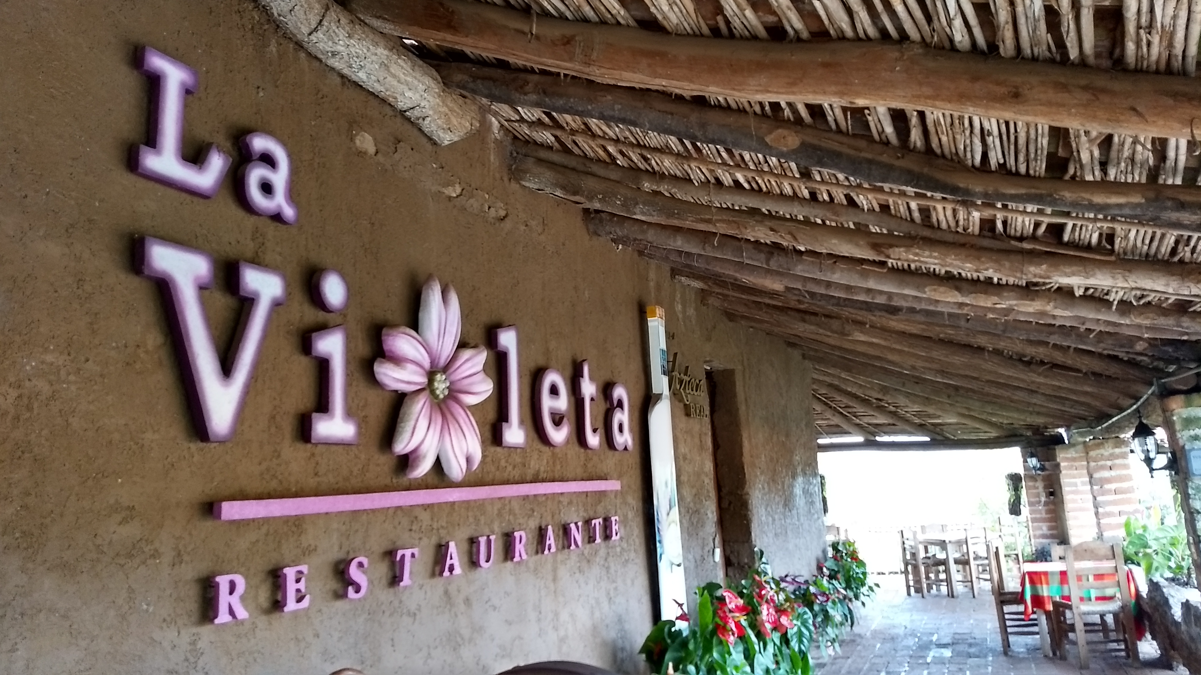La Violeta Restaurante | Eduardo Castellanos