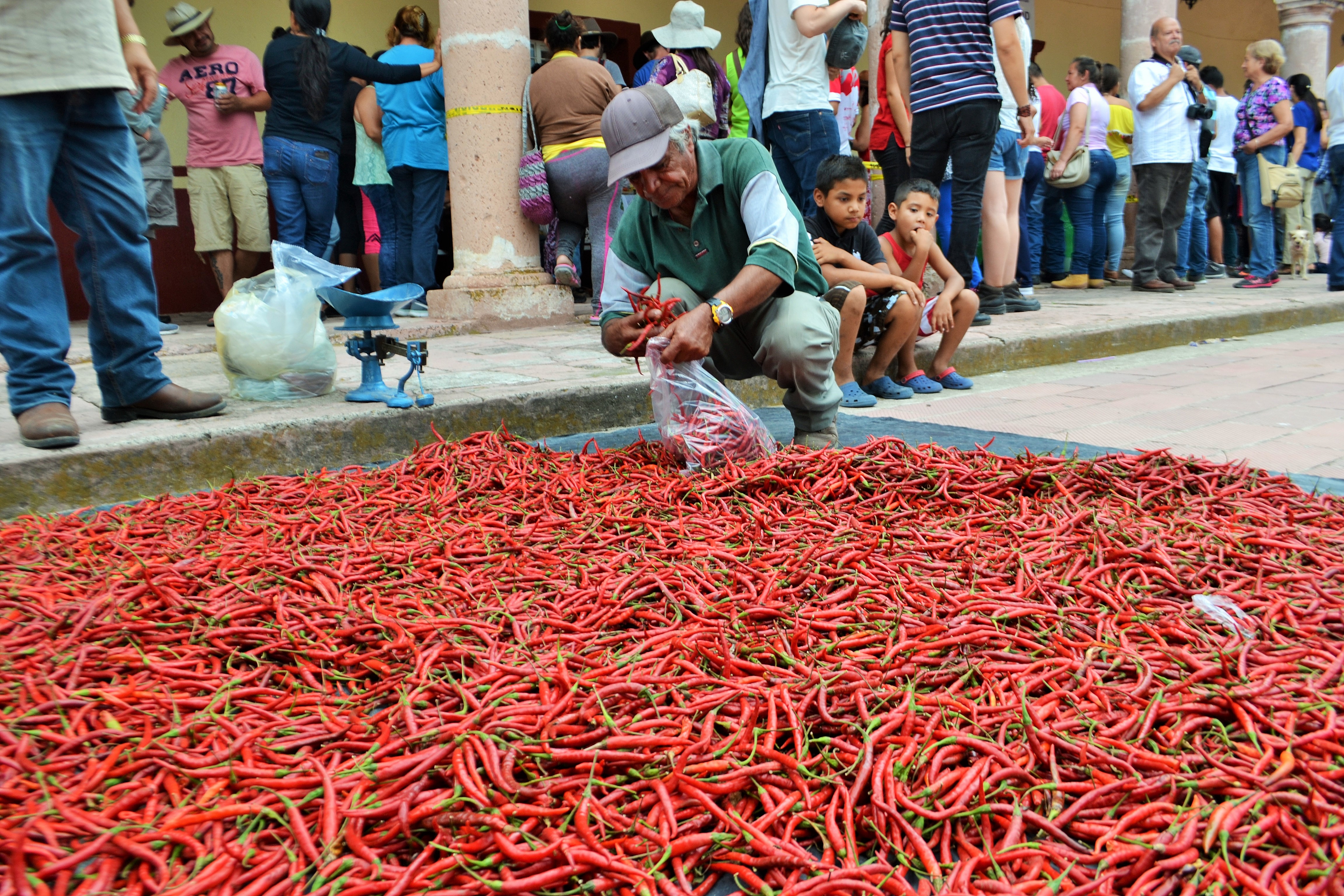 Foto: Comerciante de chile Yahualica | Eduardo Castellanos