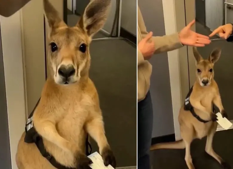 Vídeos hechos con IA pueden ayudar a propagar Fake News.